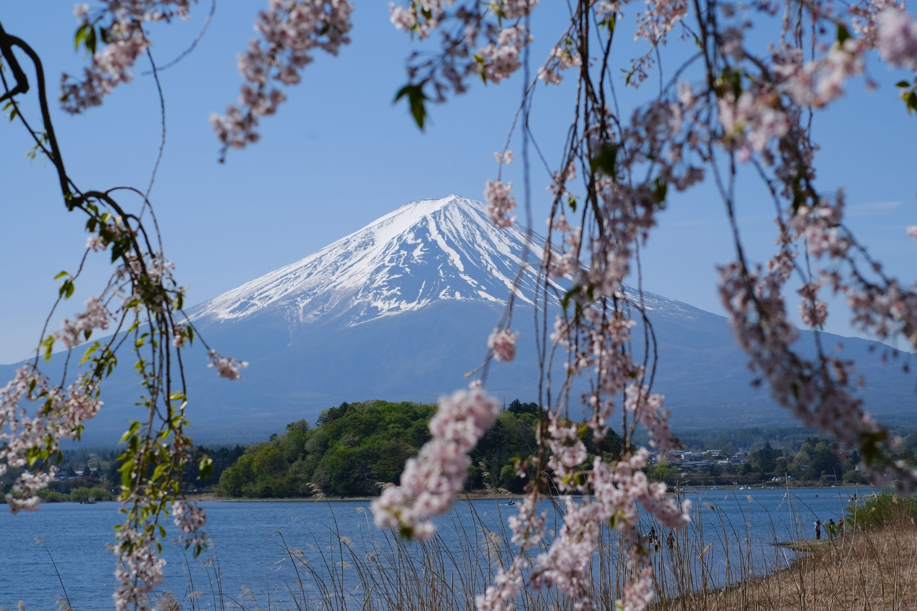 Chūbu