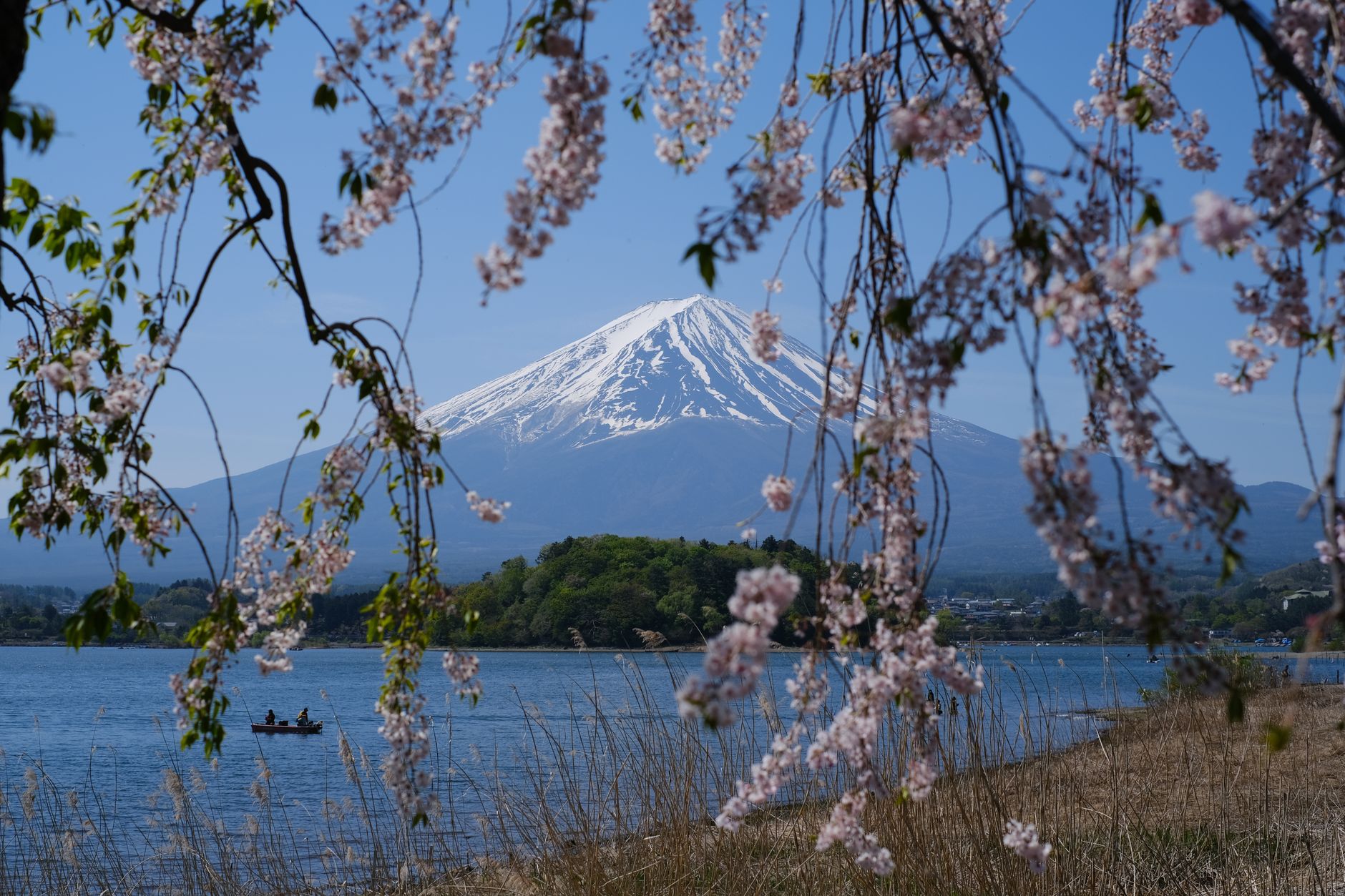 Fuji & the Five Lakes