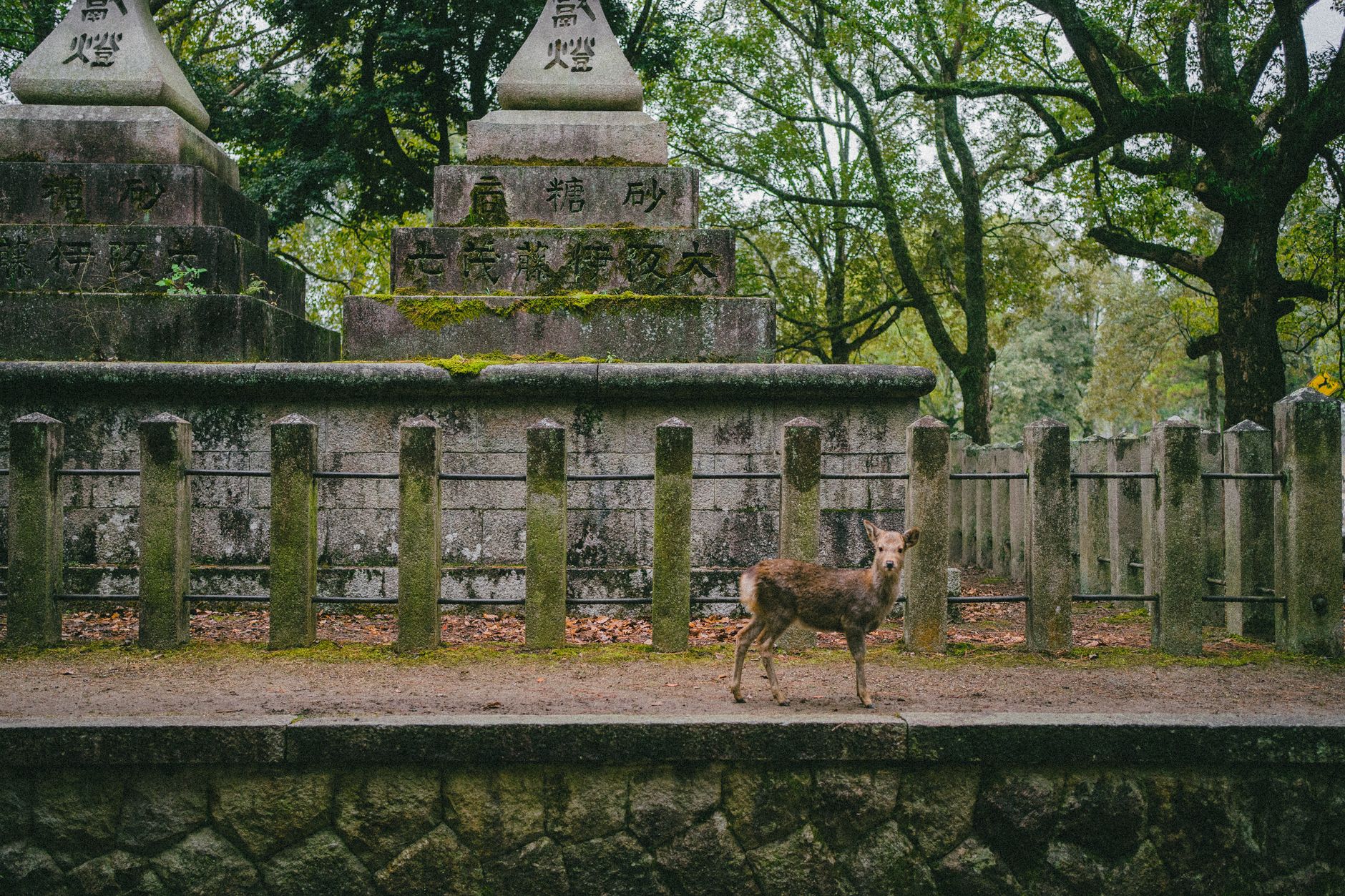 Kansai