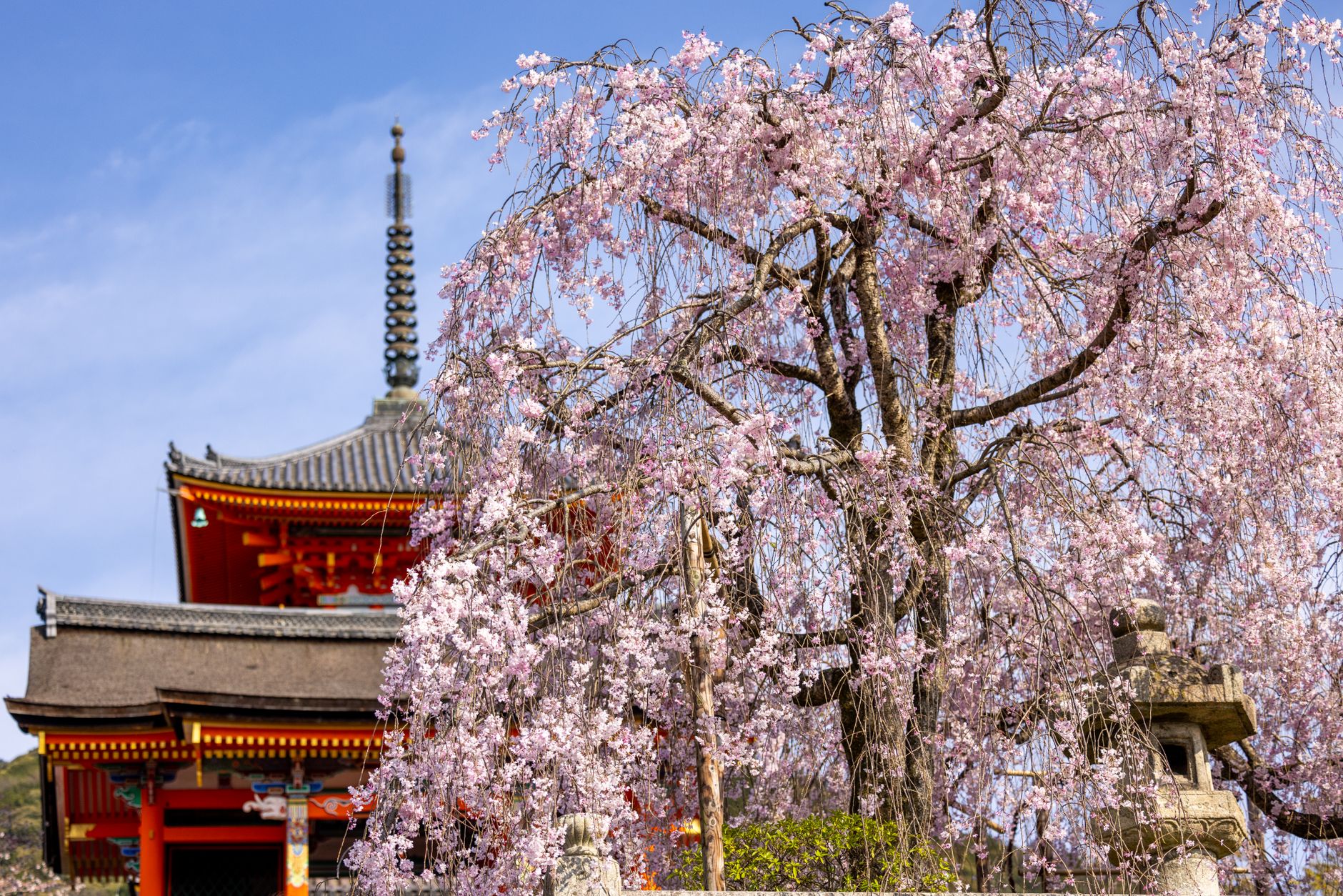 Kyoto, Beyond the Crowds
