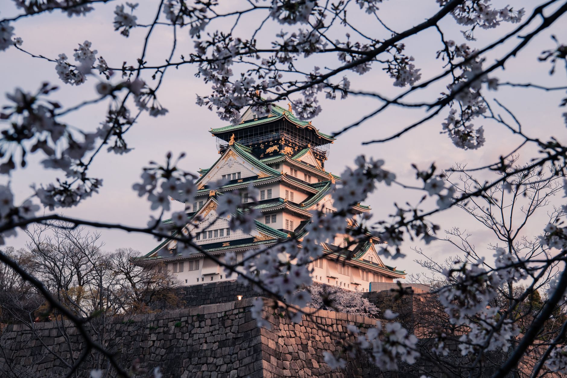 The Kansai Table