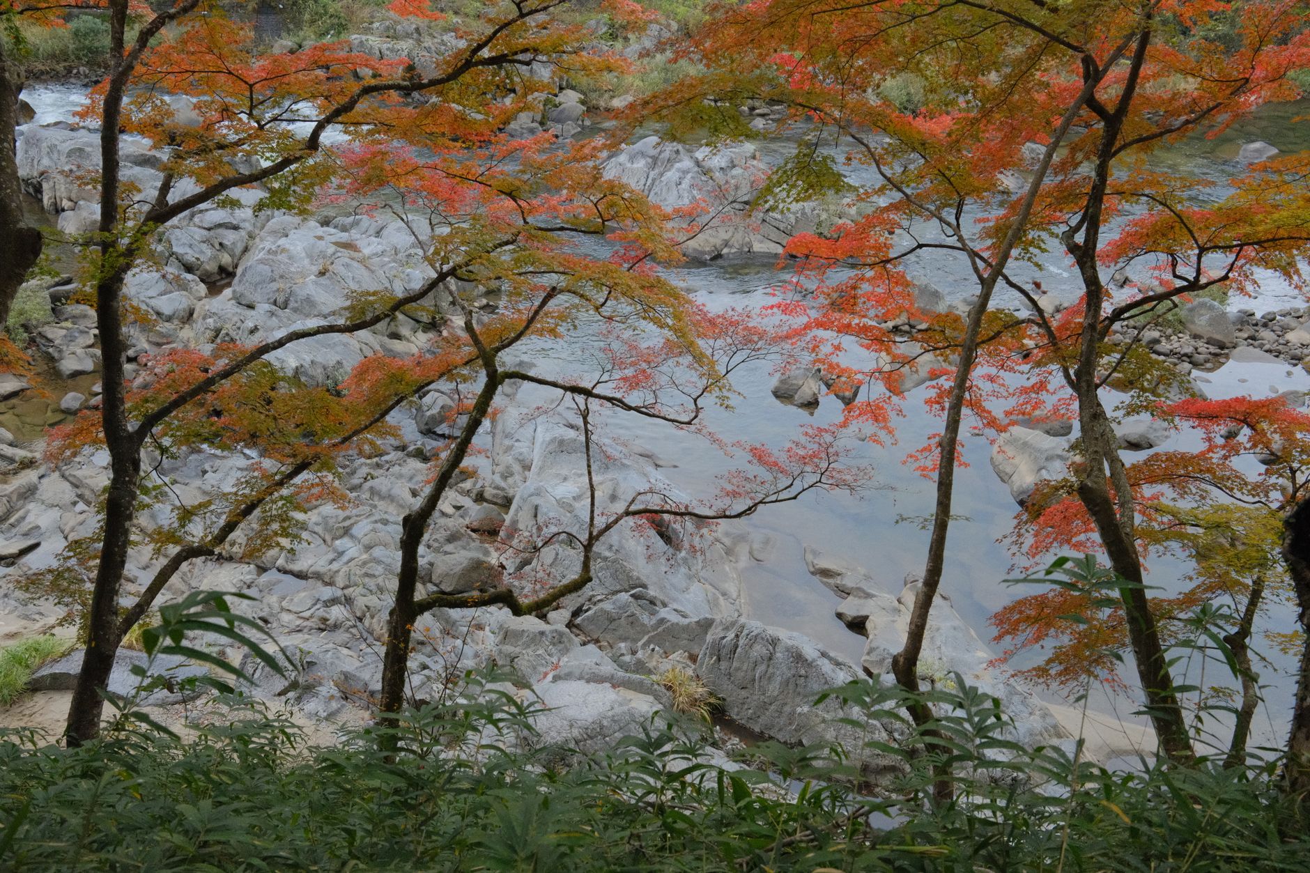 Kyūshū