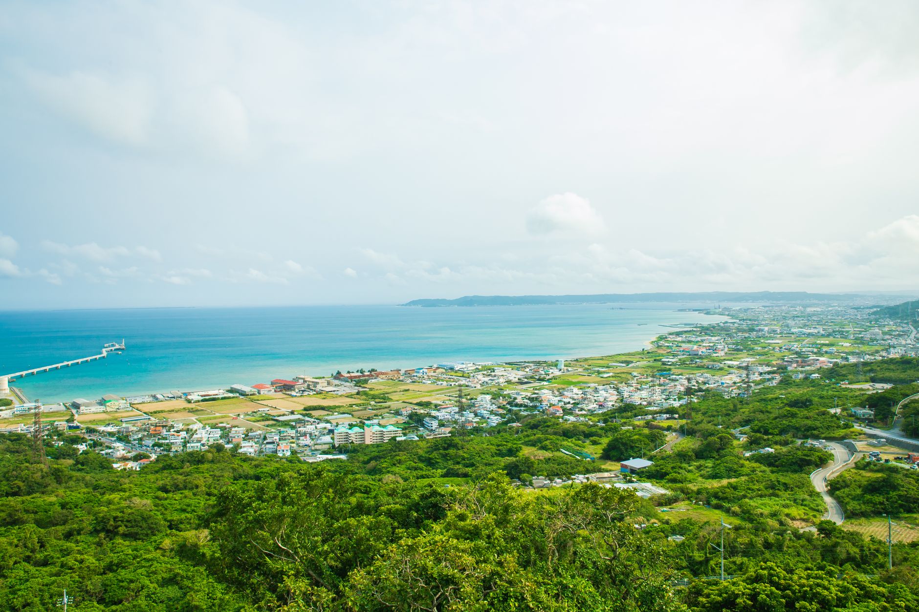 Reef & Ryūkyū